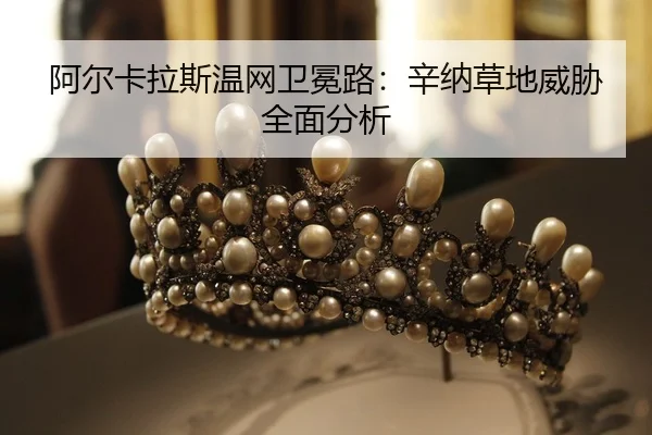a-er-ka-la-si-wen-wang-wei-mian-lu-xin-na-cao-di-wei-xie-quan-mian-fen-xi-2-494.jpg