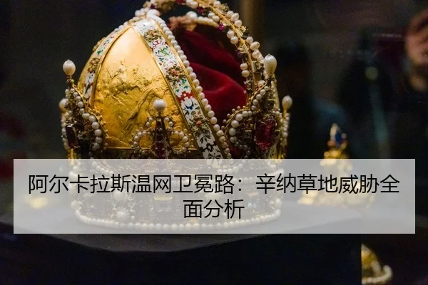 a-er-ka-la-si-wen-wang-wei-mian-lu-xin-na-cao-di-wei-xie-quan-mian-fen-xi-3-224.jpg