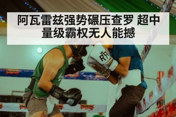 阿瓦雷兹强势碾压查罗 超中量级霸权无人能撼