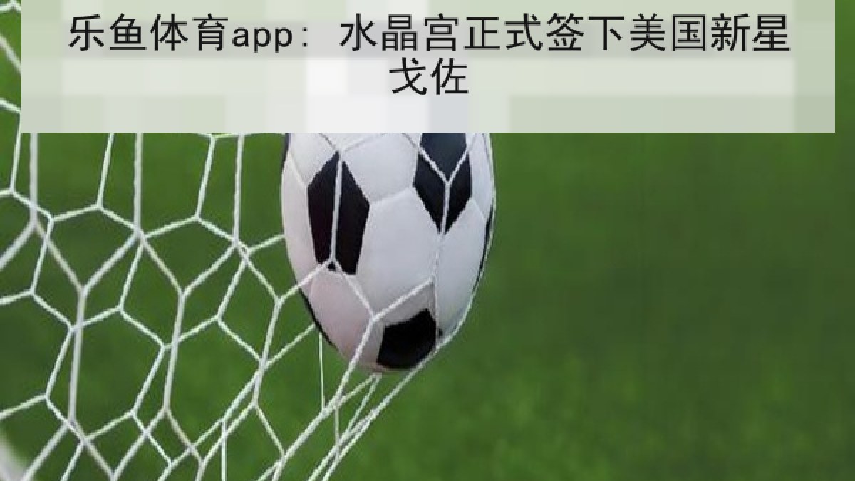 乐鱼体育app: 水晶宫正式签下美国新星戈佐
